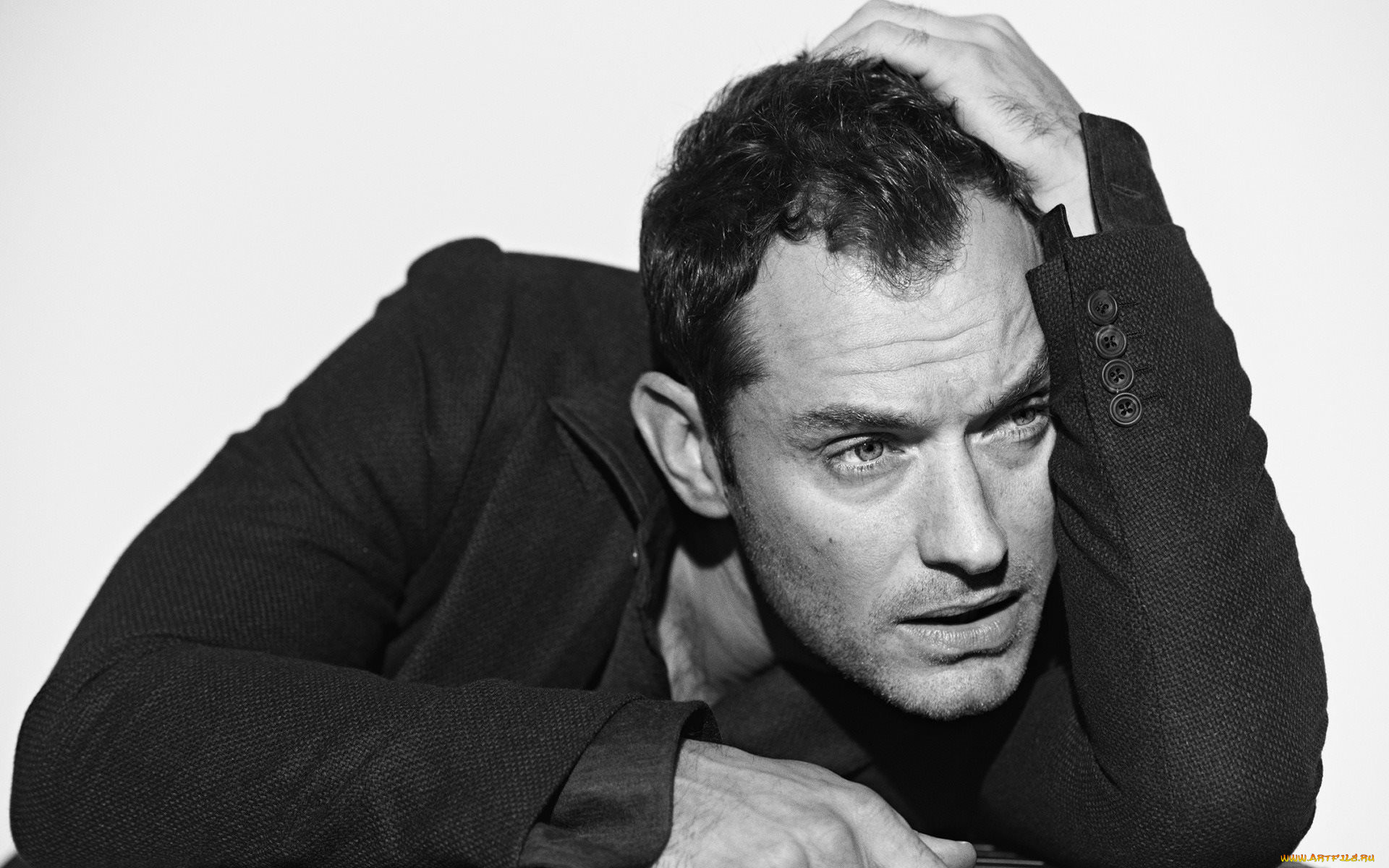 , jude law, jude, law